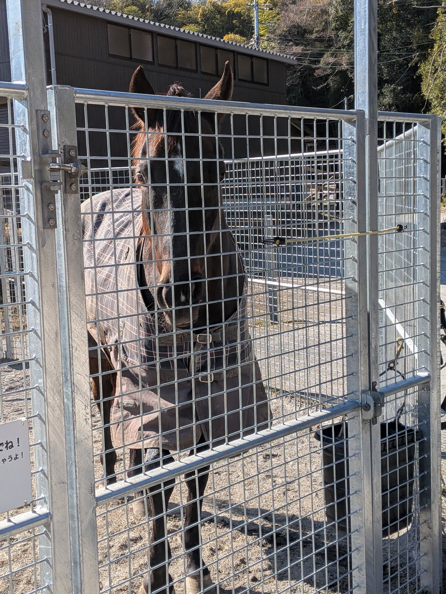 Nagare -ながれ- tweet media