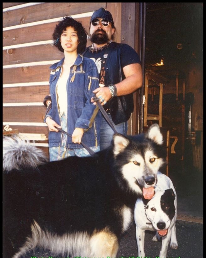 Over 40+ years ago.  
My wife and 2 of her guards I left with her when I was away doing motorcycle shows. 
The Malemute/Wolf, was Odin and the Amstaff was Beau Jr.
_________________