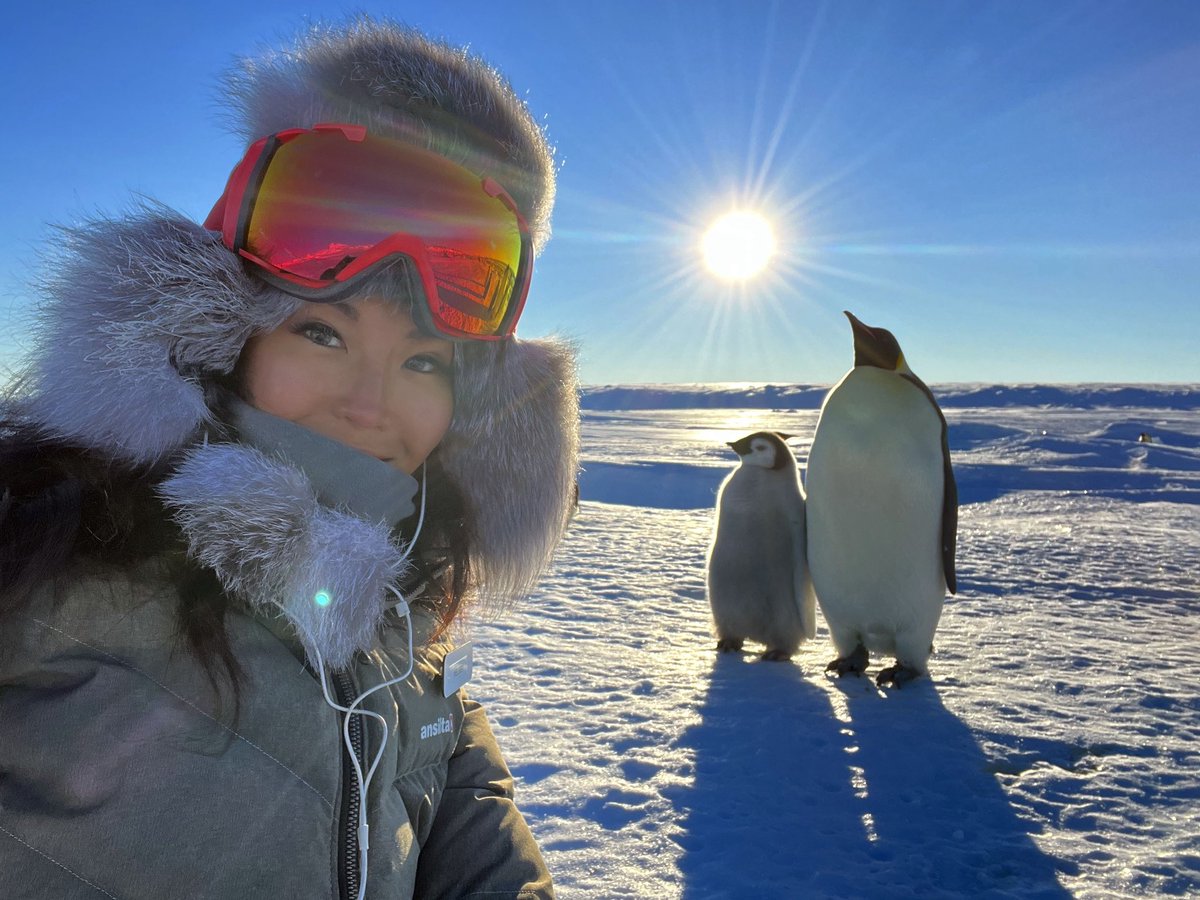Melissa Chen tweet media