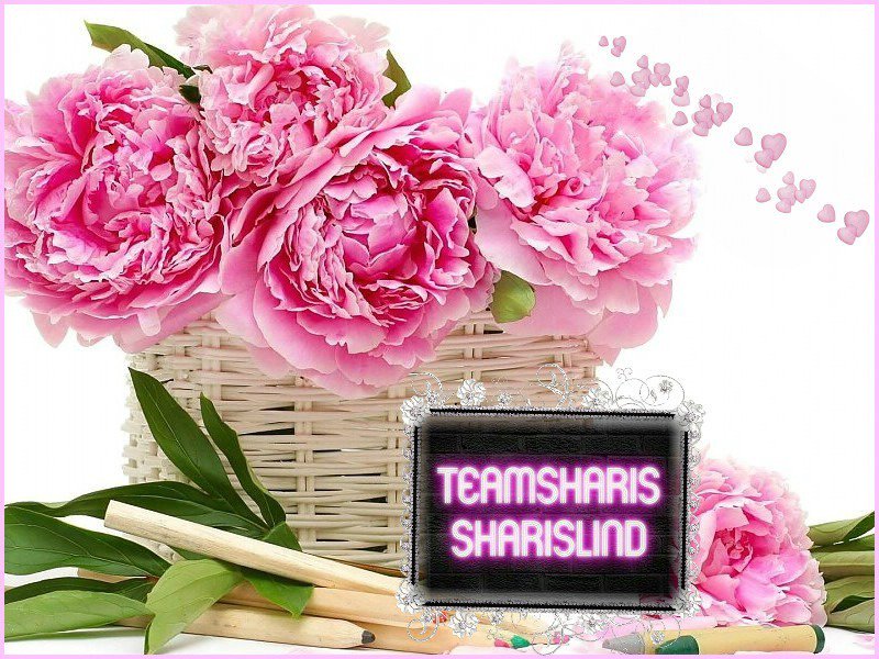 MarcelaErcia's tweet photo. 👒#TeamSharis11Años
🧺@SharisLind  

🌺@AlexMont97
🍃@didierpatience
🌺@MarcelaErcia
🍃@Menio777
🌺@MemoAdrian72
🍃@Lolalolitaok1
🌺@IreneVarMex
🍃@JormerMx
🌺@Luis__Ro
🍃@MarceTeAyuda
🌺@insaurraldeh
🍃@Lola_lolita06
🌺@carlos2pixrcuad
🍃@cecijimenezusa
🌺@Hp071180
🍃@ArmandoMedelli4
🌺@sdh_2031 @kitty_894
🍃@BenedictoLozano
🌺@Ernesto24381595
🍃@saulChvezramn1
🌺@HectorVillarri
🍃@KaishiTask
🌺@CeciliaJim72217
🍃@EdgarAlbaV
🌺@GpeLC1108
🍃@LaEspadaDeDios1
🌺@ErciaQueen 
🍃@onofrecuevas  
🌺@_aditi_kumari_ 
🍃@fitoazul1 

🌺🍃🌺𝓦𝓮 𝓕𝓸𝓵𝓵𝓸𝔀 𝓑𝓪𝓬𝓴 🌺🍃🌺