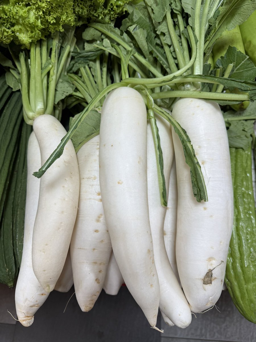 เห็นแล้วอยากเอาไปใส่แกงส้ม