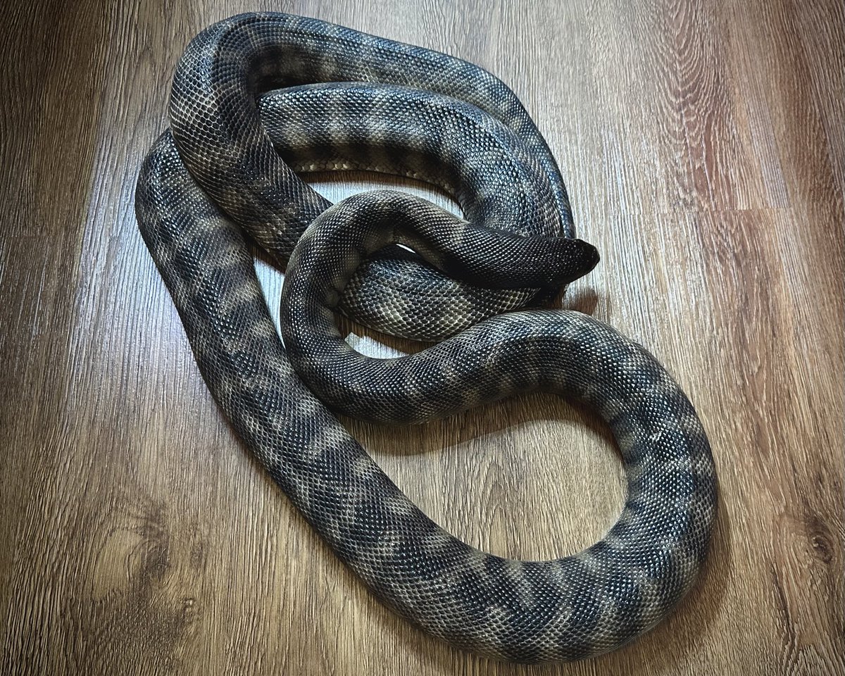 𝒖’𝒍𝒍 tweet media