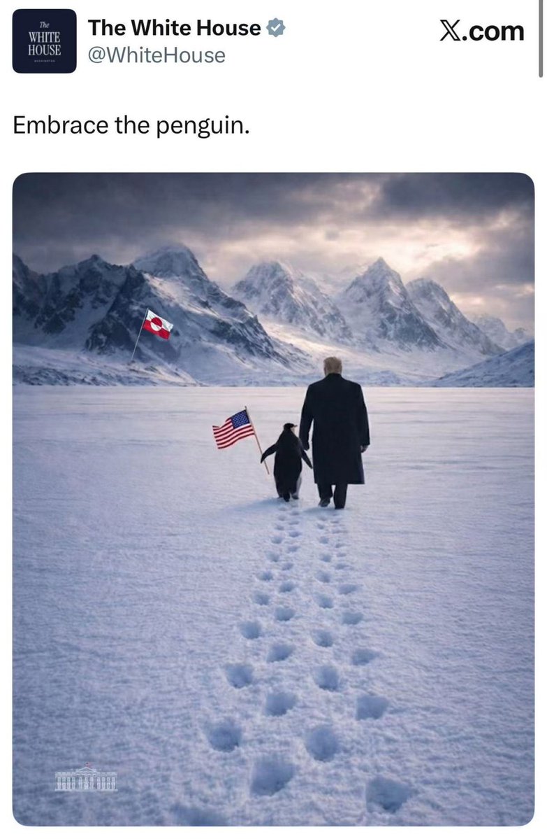 一直在走，格陵兰岛企鹅🫠  
川普说了算，管他有没有🐳
伟大的政治叙事！

Sol上的57m市值🚀  
反观BSC 1m站都站不稳🤡

本来不打算出本格局  
现在一看还是回本吧🫡

BSC的战壕们  
真的只会舔吗？  
舌头不会出血🩸吗？