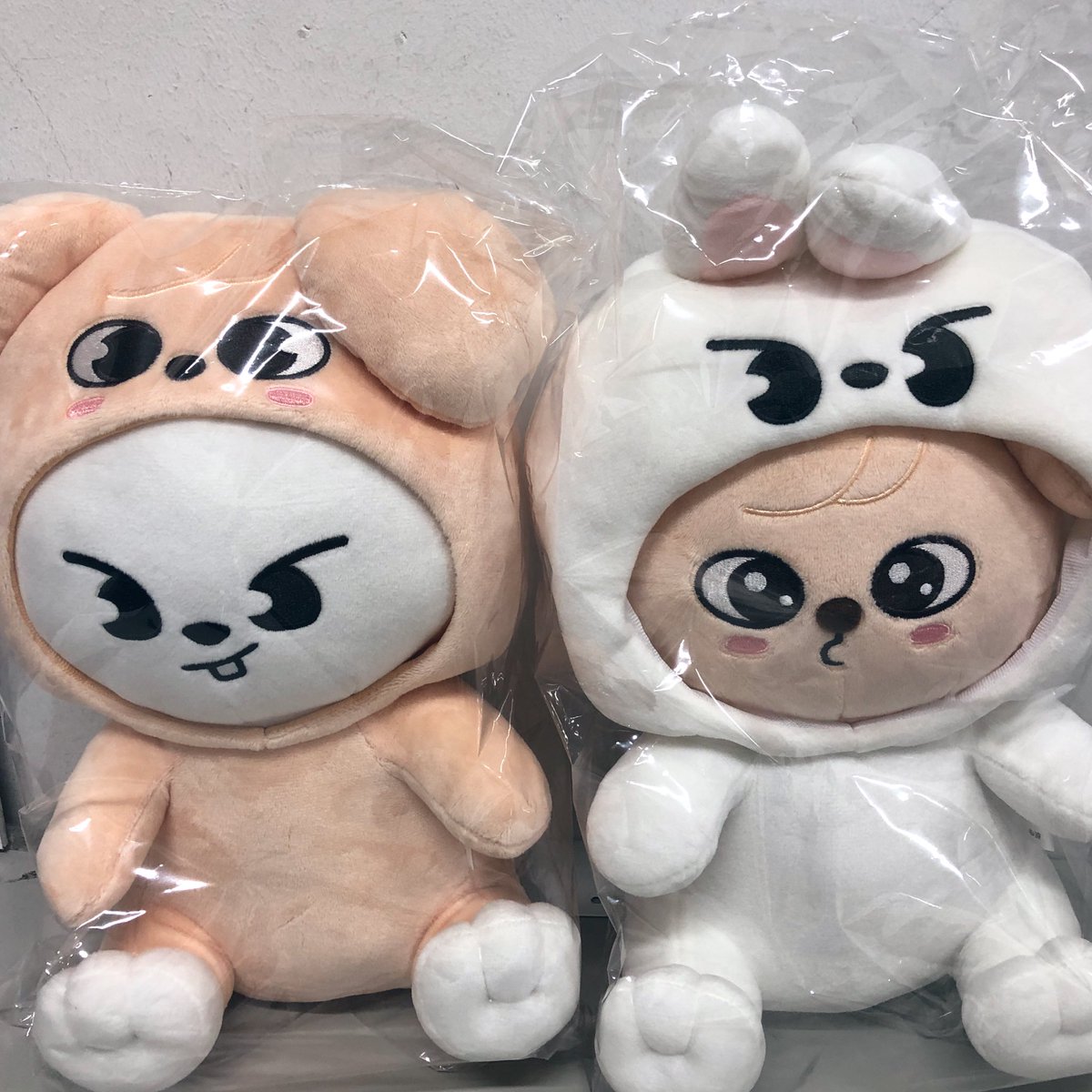 🧭#StrayKids StrayKids 🧭 TOY WORLD 抱きぬいぐるみ PuppyMとLeebit