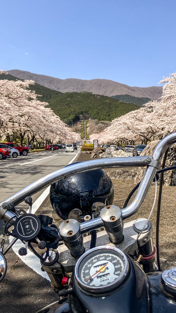 penguin774 (@penguin774tter) / Posts / X