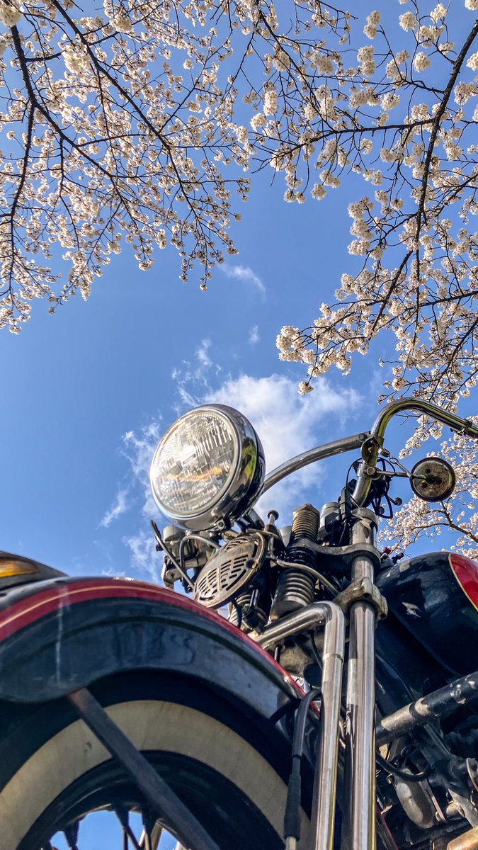 penguin774 (@penguin774tter) / Posts / X