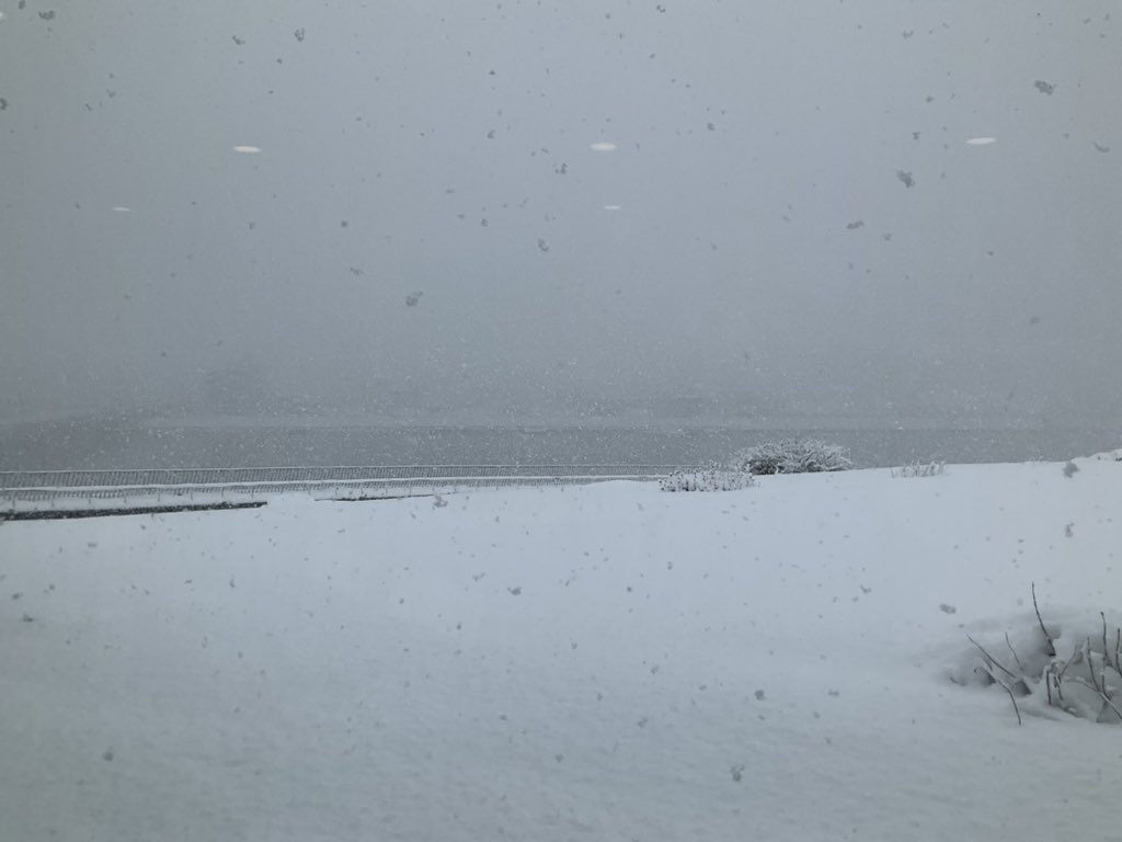 新潟市中央区 雪やべーわ
地元より多いわ