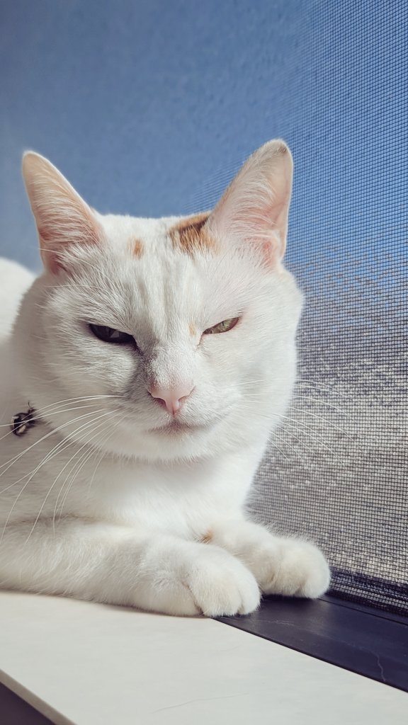 百円 (@2020momo100) / Posts / X