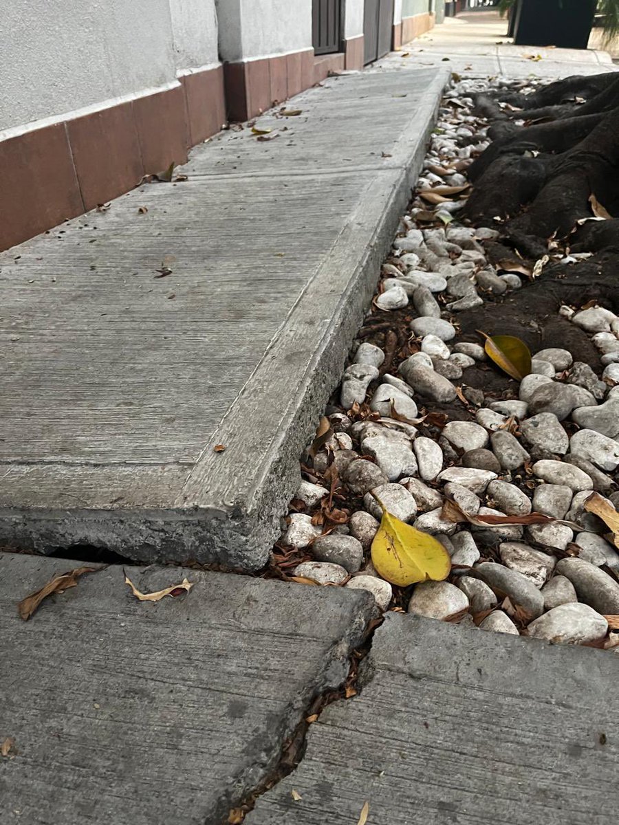 AlessandraRdlv's tweet photo. En Alcaldía en tus manos nos solicitaron la reparación de la banqueta en la calle de Jojutla.

Revisamos la raíz del árbol, la atendimos y hoy es una realidad.

Aquí las cosas sí pasan. 
Gracias por su confianza. 🏹❤️‍🔥 https://t.co/1lkBZDIjWK