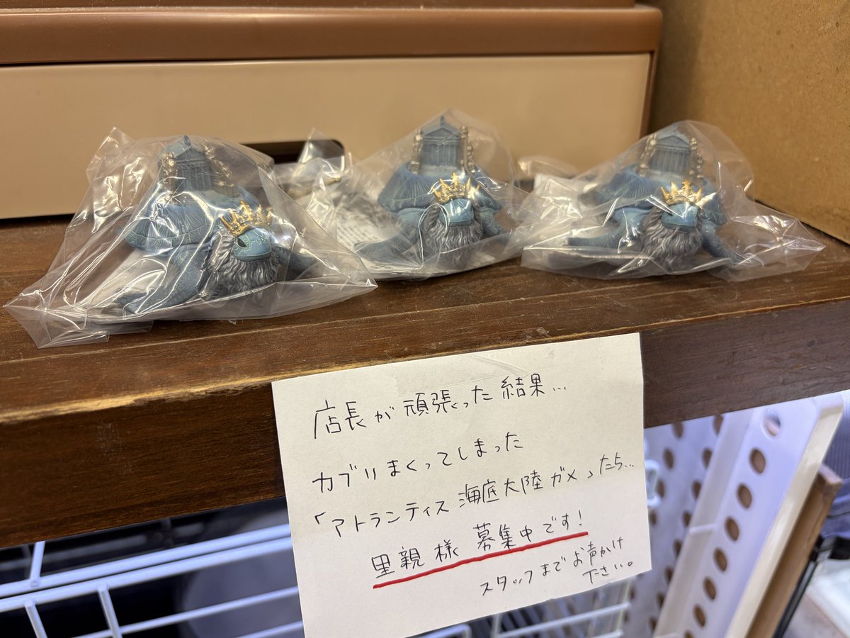 店長が完全に趣味で集めている
カプセルトイの「大陸ガメ」シリーズ🐢
店頭にて展示しております🐢
(見てほしいだけ)

そして！
カブってしまった子達は
里親様募集中です🤣
(しかもアトランティスだけ)

作りも細かく可愛い子たちで
亀好きの皆様にオススメですよぉ〜🐢