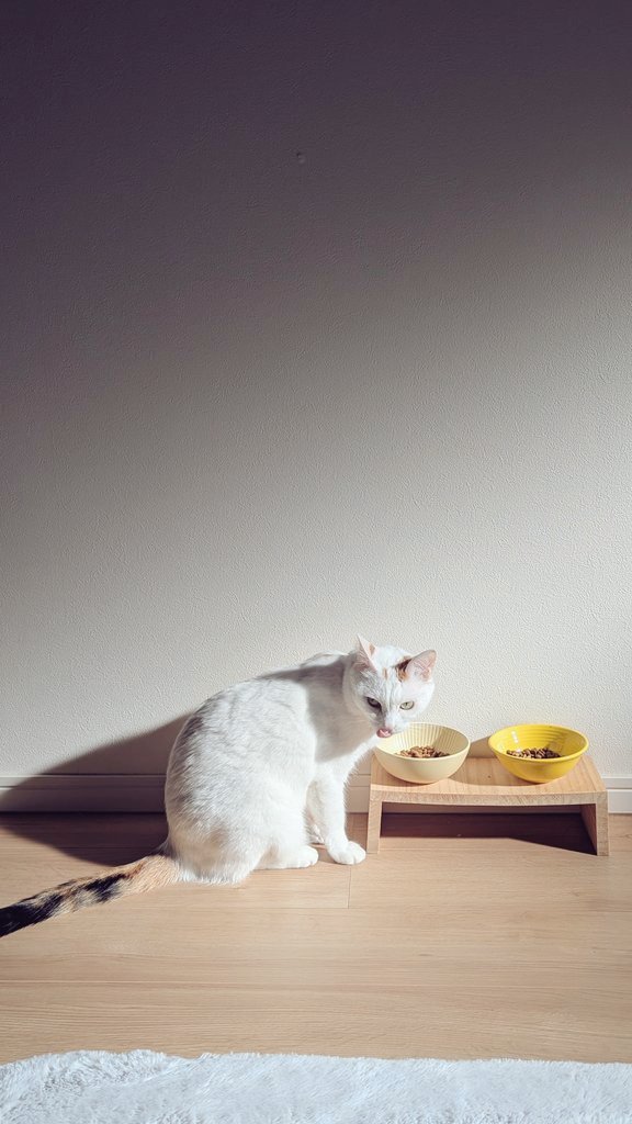 百円 (@2020momo100) / Posts / X