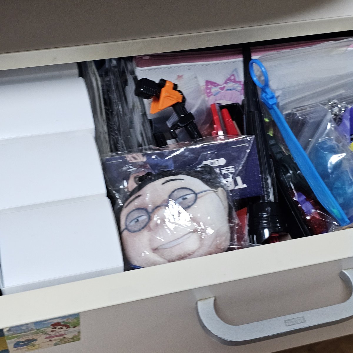 nanun_babo's tweet image. 얼마전에 엄마가 뭐 찾는다고 내 서랍 열엇다가 디룩이 왜 여기서 나오냐고 소리지름