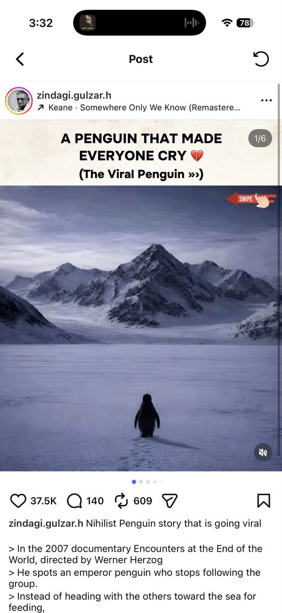 I hate vamping , but isn’t it called nihilist penguin? Trying googling and most called it that