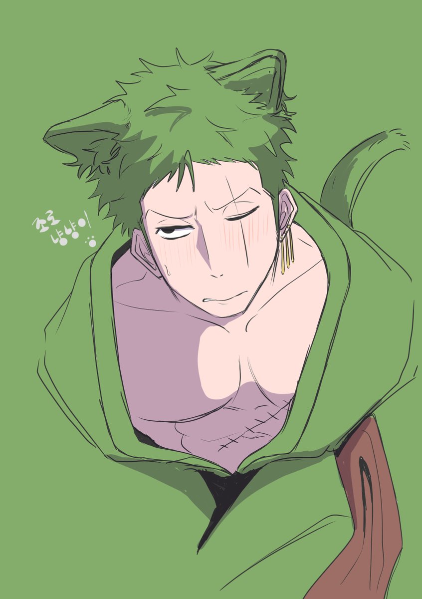 🐯조로 냥냥이