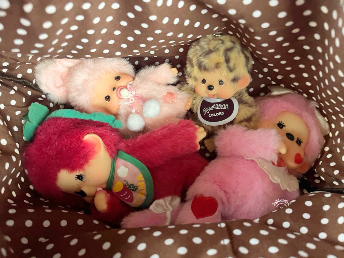 tam. ⋆｡𖦹 tweet media