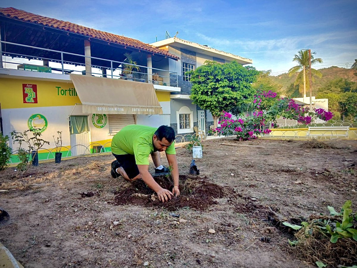 Edwin_Soto99's tweet photo. “El cambio se riega todos los días, pequeñas acciones, grandes raíces”.🌱
¡Saludos desde el corazón de mi terruño! 😃
#Apasofirme 💪🏼 https://t.co/leHiX1BdzA