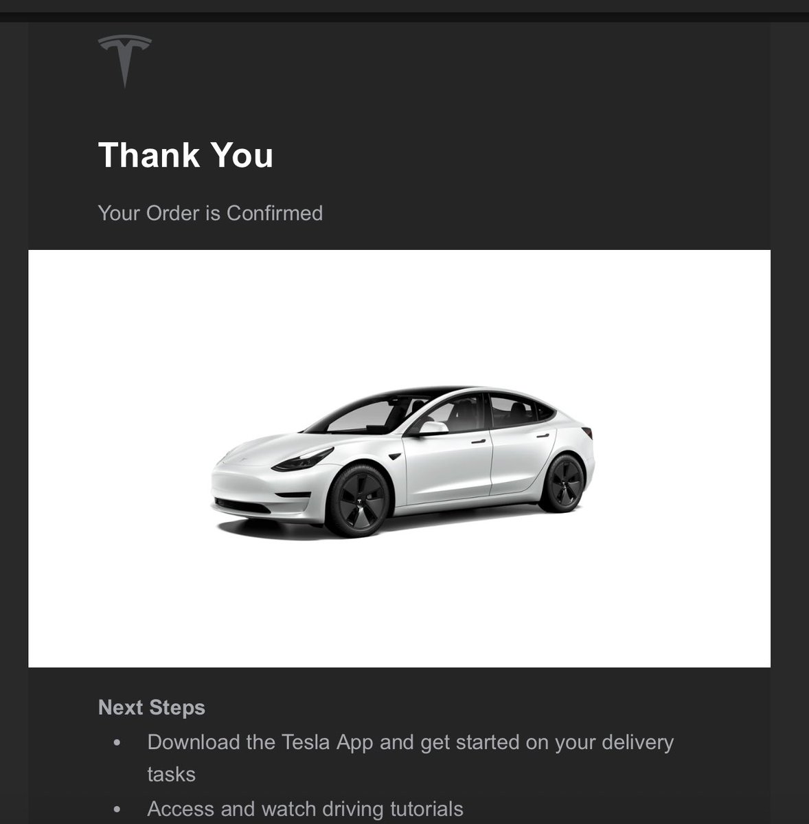 Now a proud TSLA investor and car owner, this car is straight up the bees knees