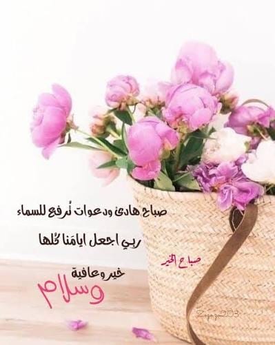 اللهم ايام خير وعافية وسلام