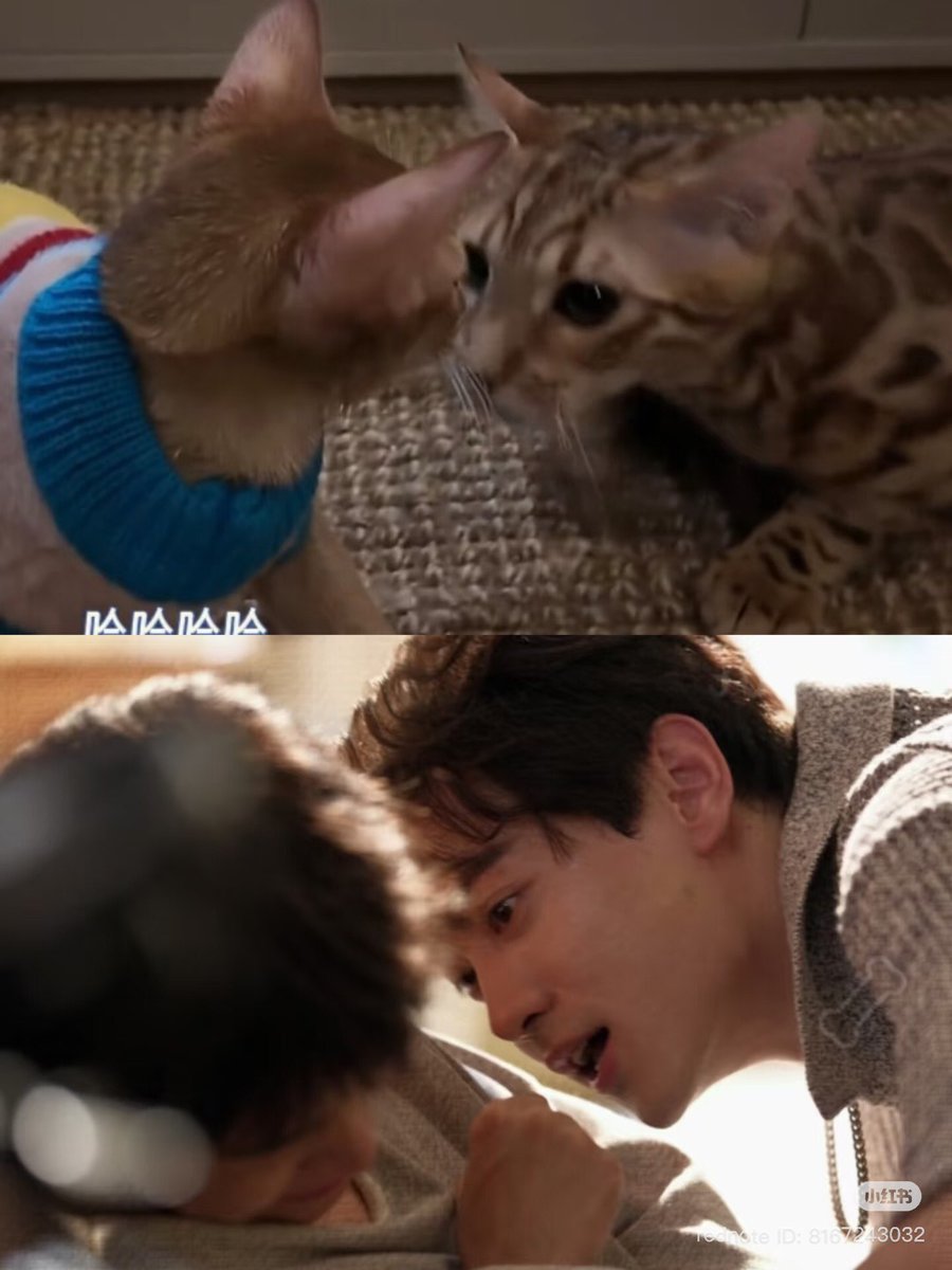 imaowss's tweet image. what the difference