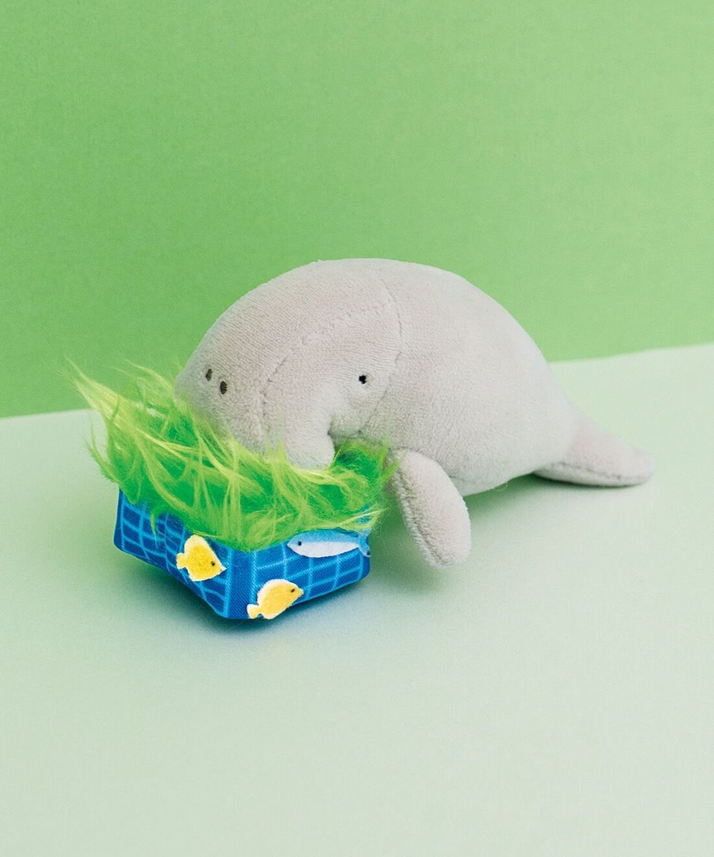 YOU+MORE!エキュート上野店 tweet media