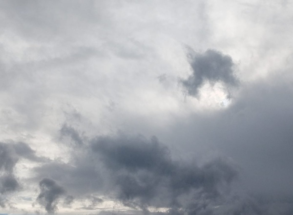 halil ibrahim özcan tweet media