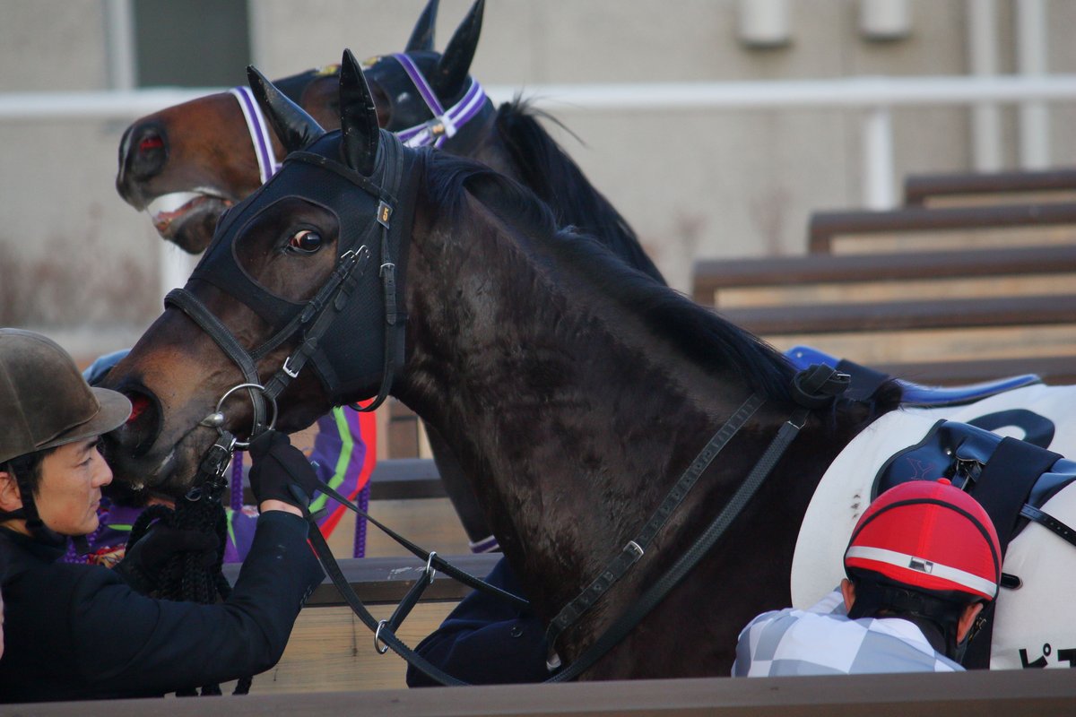 norauma (@norauma5) / Posts / X