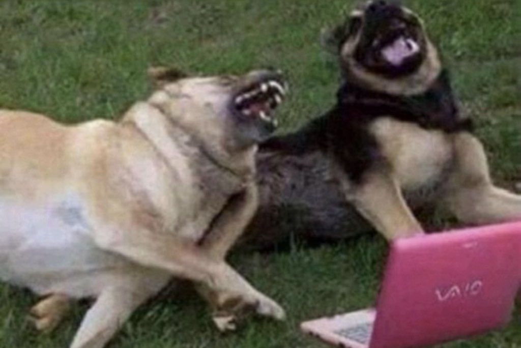 melvyn 🐓 (@melbx33) on Twitter photo 