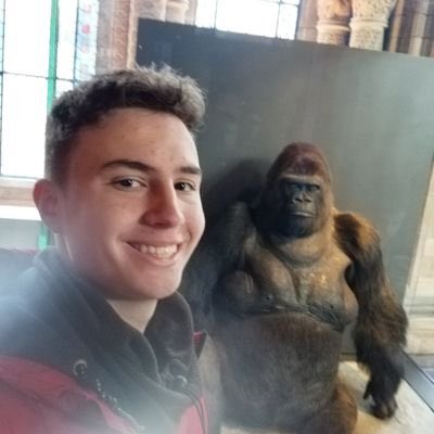 Dani tweet media