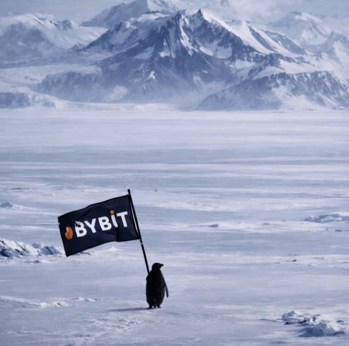 Nietzschean Penguin tweet media