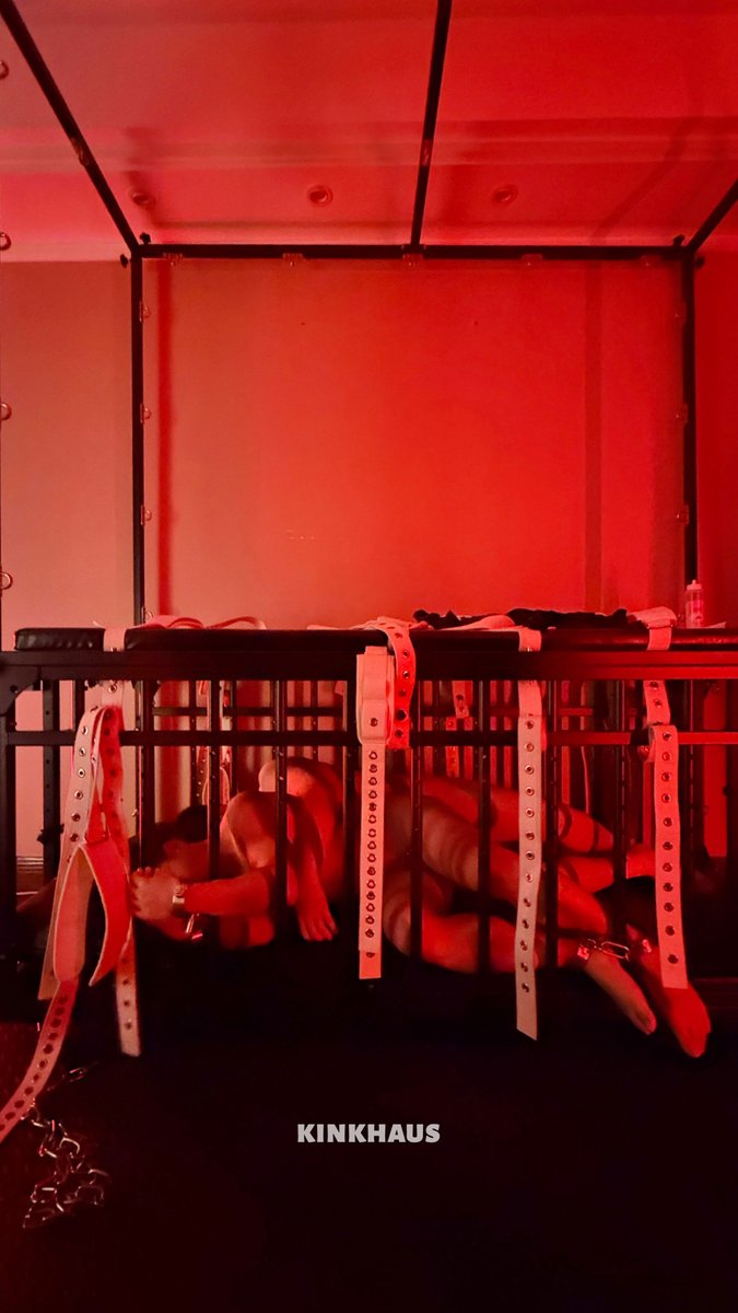 Kinkhaus tweet media