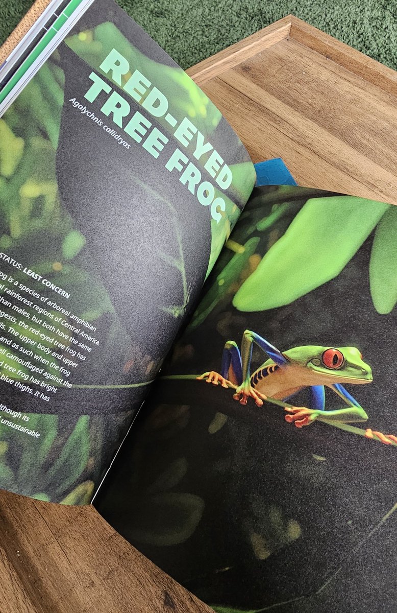 Conor Dalgarno tweet media