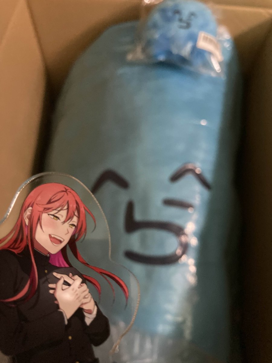 みんなに教えてもらってから1年半ほど経ってお迎えができました！！デカけりゃデカいほど良い俺歓喜！！！マジでありがとう！！！✨🔵✨