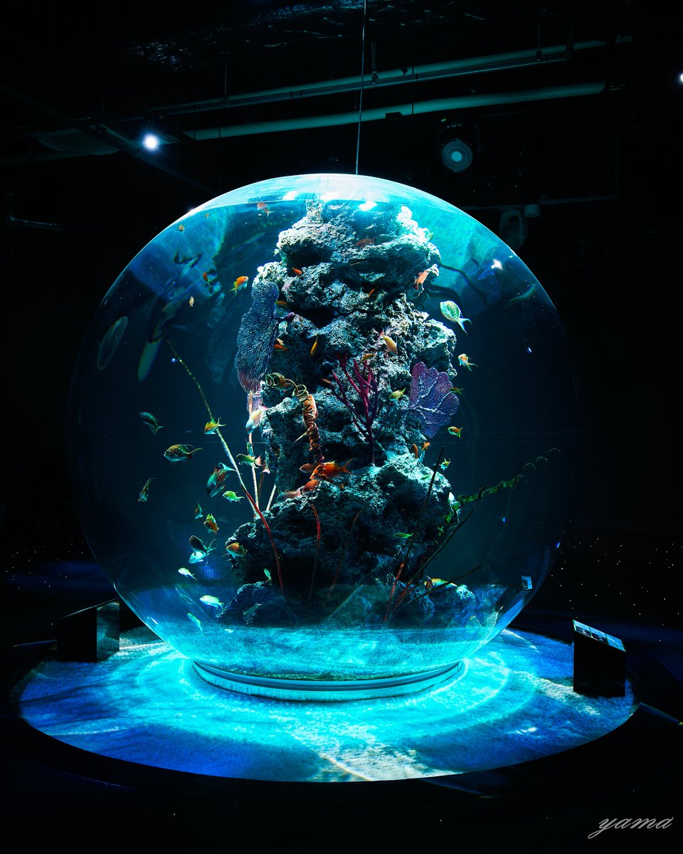 愛用カメラを画像付きで布教する 2～4枚目はいずれもZ6Ⅲ＋Z24-120mm f