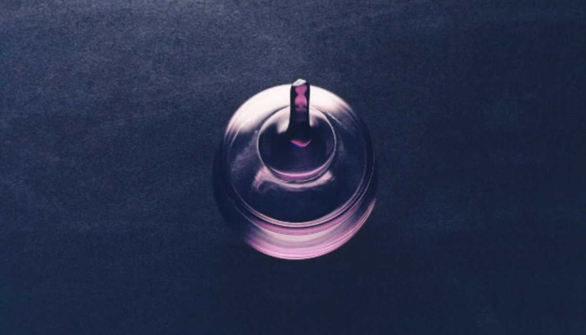 TheGreatLeslieBand tweet media