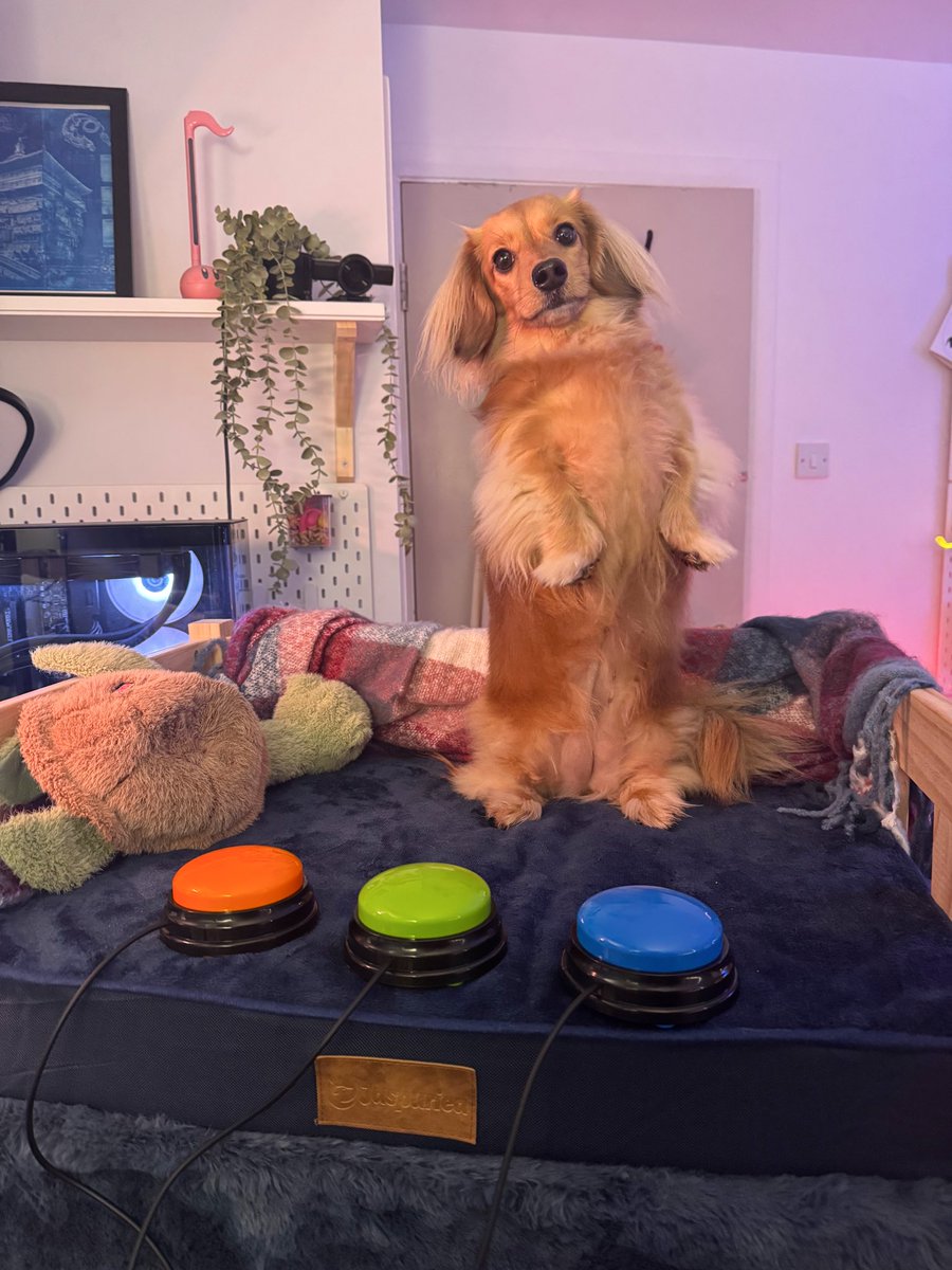 poopernoodle tweet media