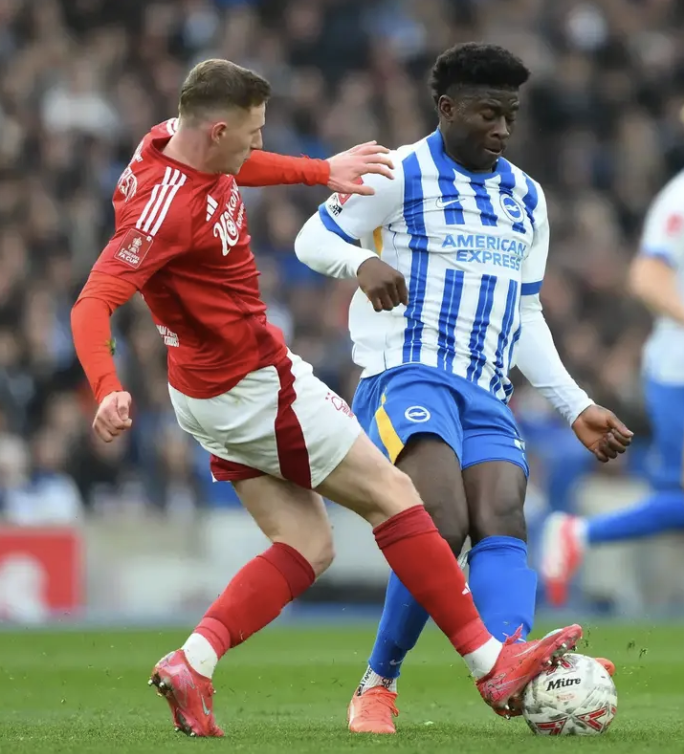 (fan) Frank 🧠🇾🇪 tweet media