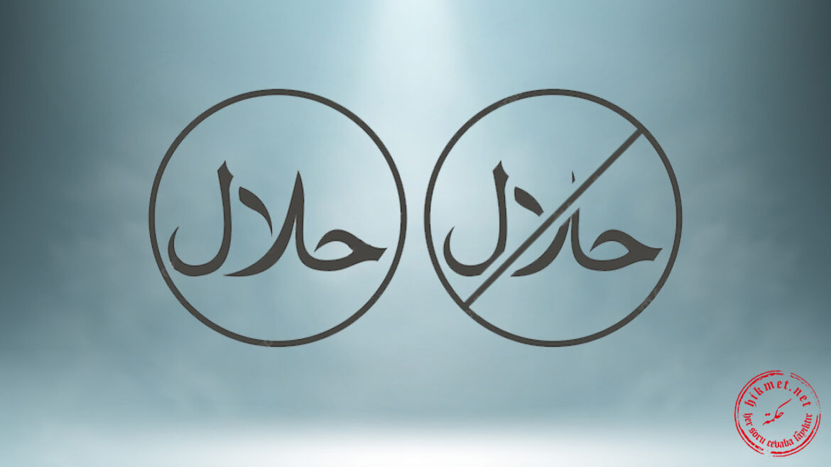 HikmetNet (Soru-Cevap) tweet media