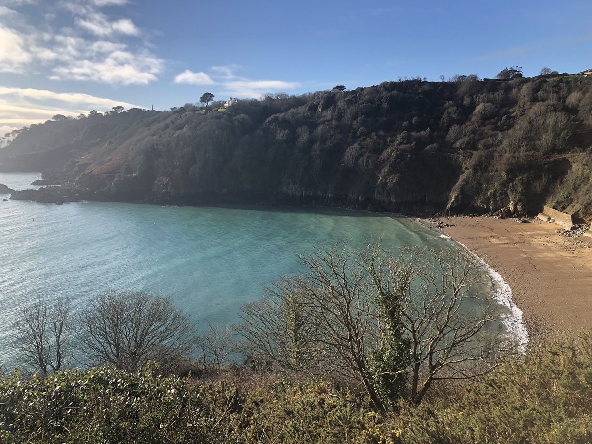 mary carey tweet media