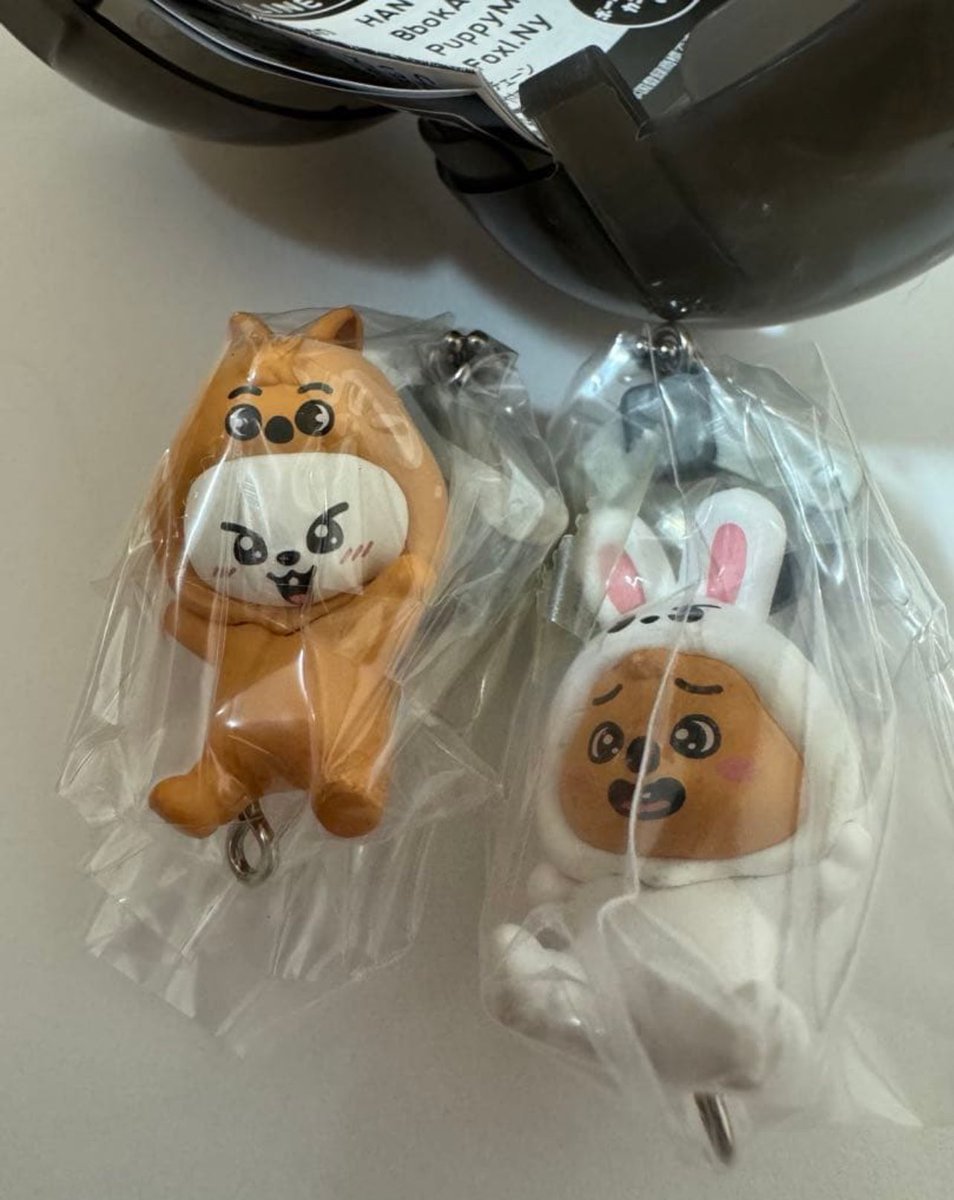 paperdelulucart's tweet photo. wts lfb

skzoo leebit &amp; quokka key holder gacha

- 650 php set
- payo to secure
- reply/dm
feta

skzoo gachapon han lee know https://t.co/0XlZU9negN