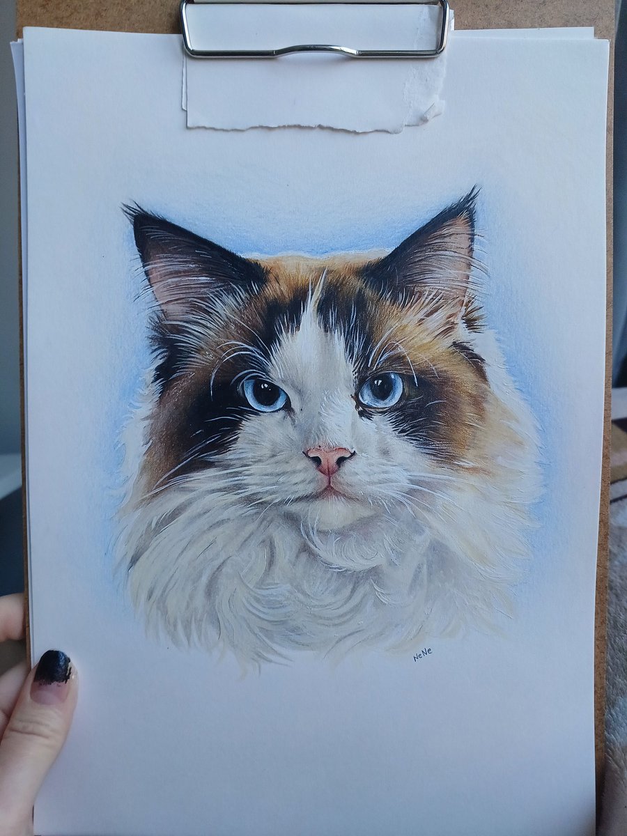 Nene 🏳️‍🌈 tweet media