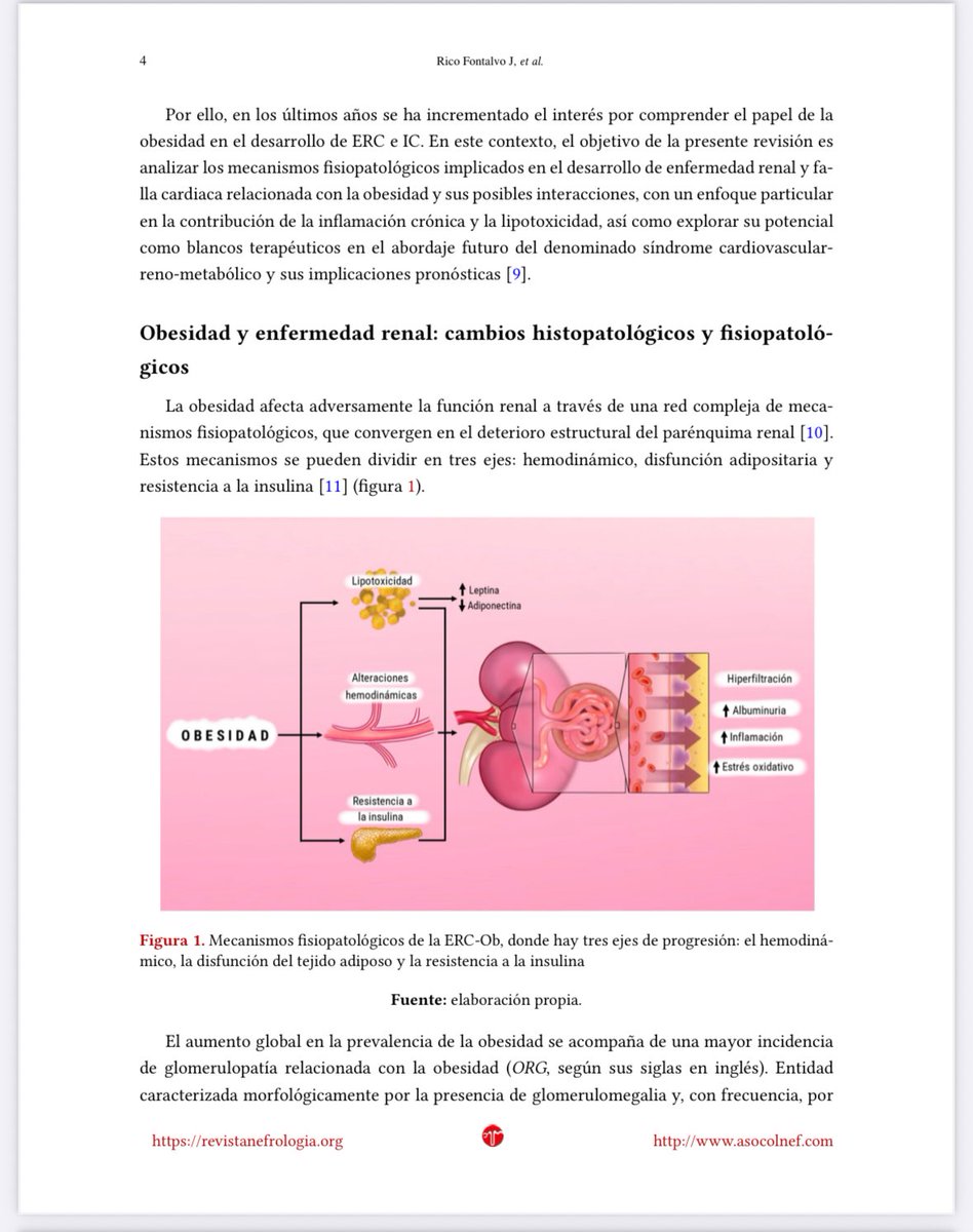 Dr Jorge Rico Fontalvo. MD.FISN. FSLANH , PhD tweet media