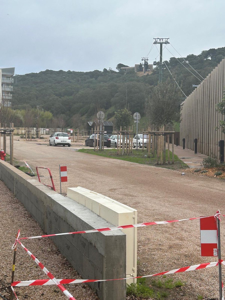 Antonini Ghjacumu tweet media