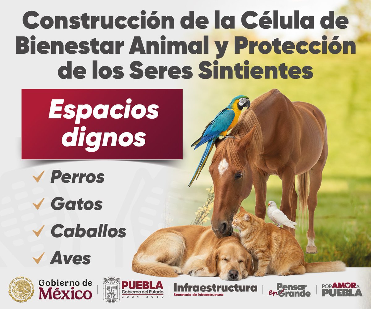 Puebla es una entidad responsable con los seres sintientes.
El <a href="/Gob_Puebla/">Gobierno de Puebla</a> informa de la construcción de espacios dignos para perros, caballos, gatos y aves. 
Una acción más de <a href="/armentapuebla_/">Alejandro Armenta</a>