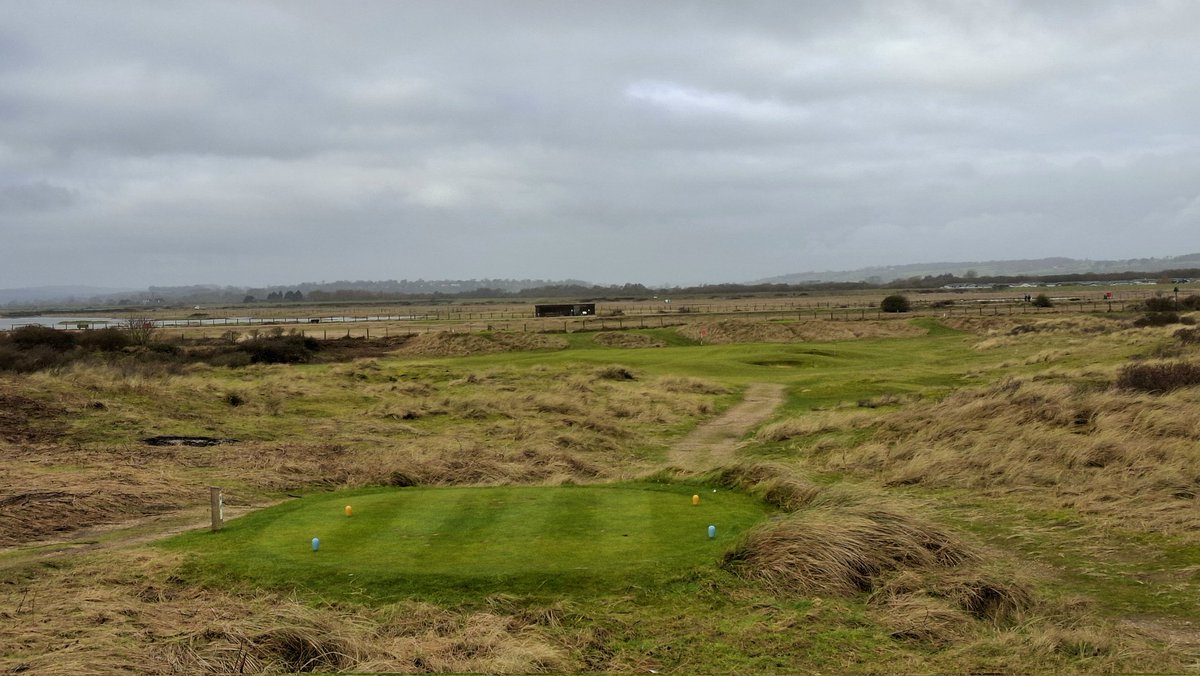 Jezz Ellwood tweet media