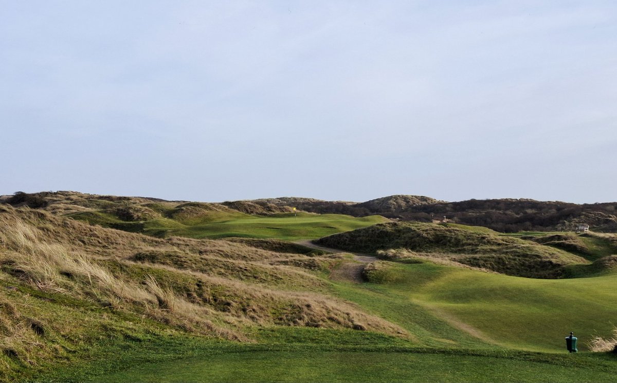 Jezz Ellwood tweet media