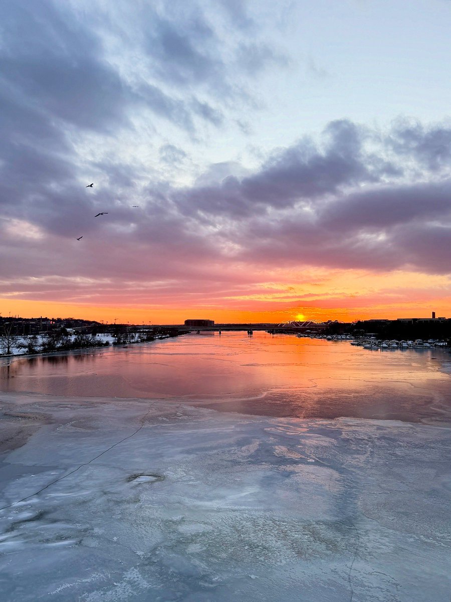 Austin Graff tweet media