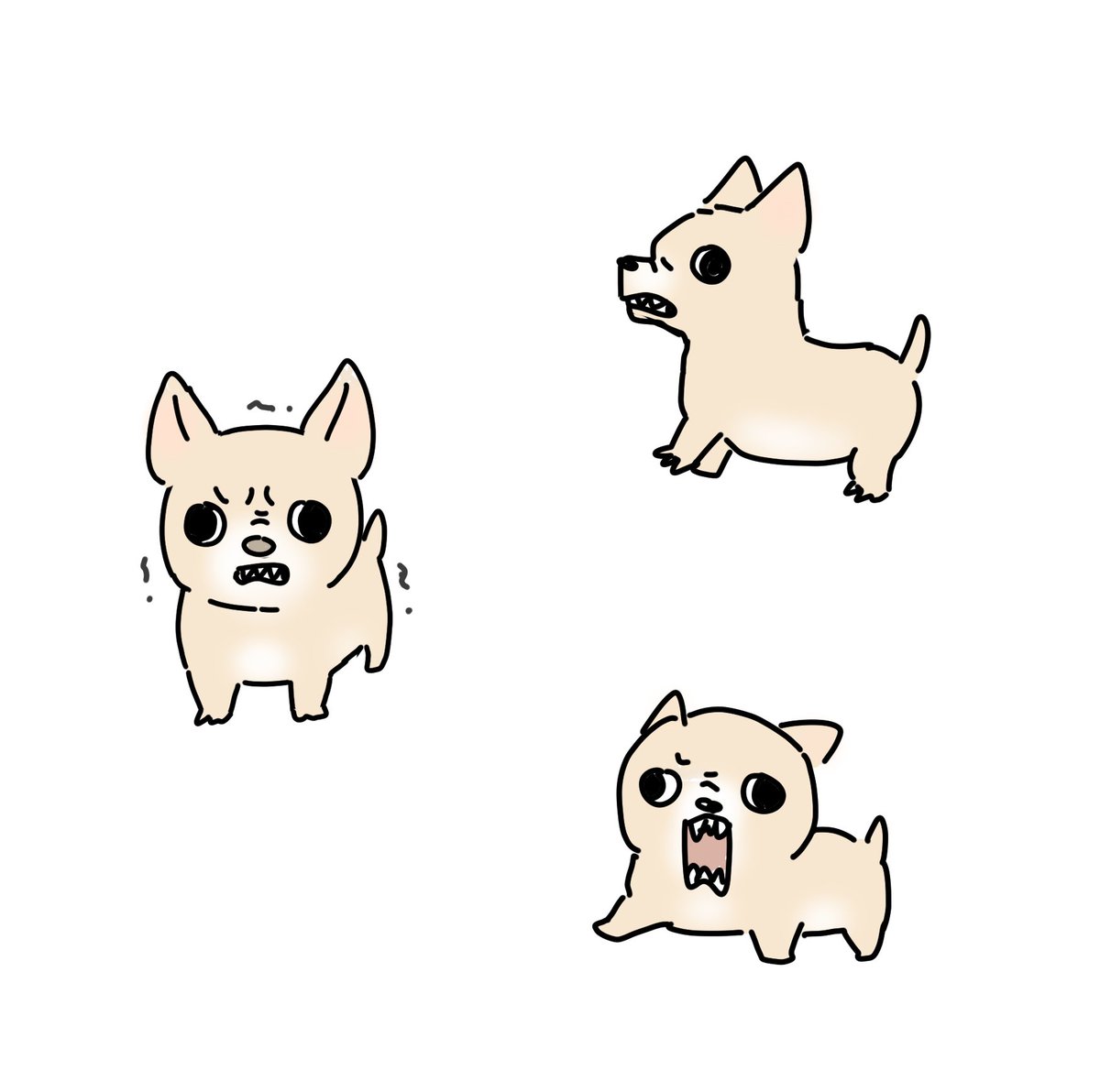 퍼깍소 (@furrygirlbanana) on Twitter photo 