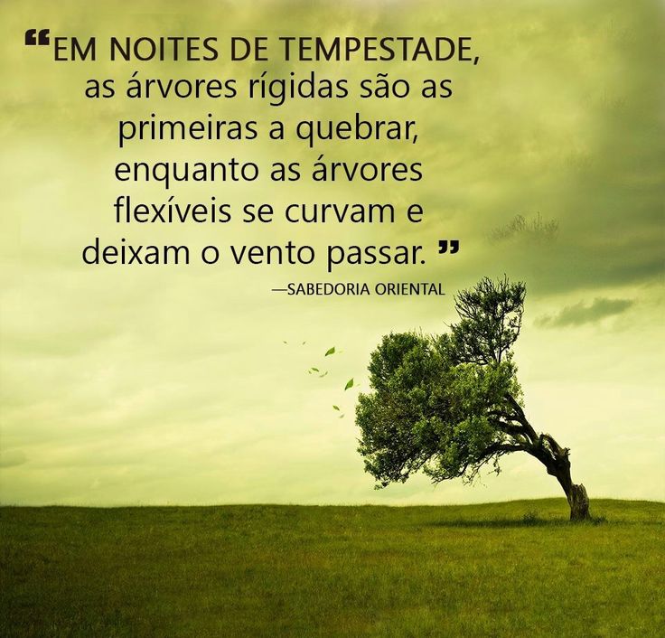 Angela@anjo&demónio (@angelal79638582) on Twitter photo 