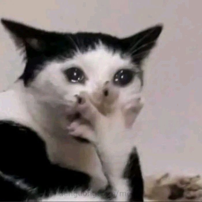 Hooked_On_Crochet07 tweet media