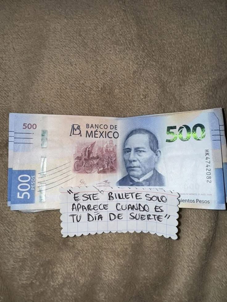 RincnCuriosoo's tweet photo. Así como trates esta imagen te irá en febrero, que está por comenzar. https://t.co/Gsh2vH4Fsf